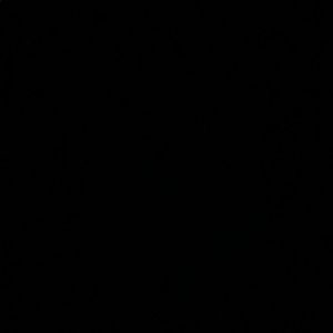 Meet your Posher, Shahzma